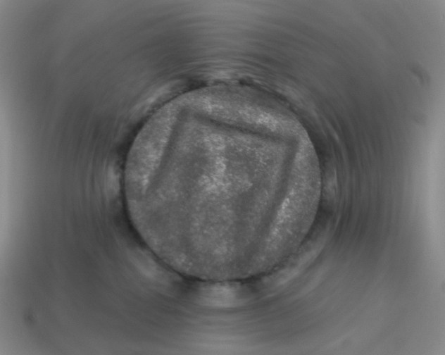 X0000113570282200910161525