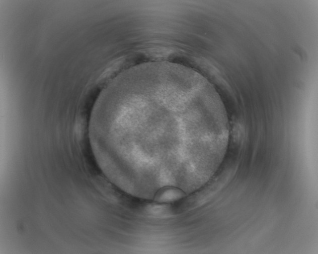 X0000113570283200910161525