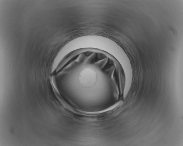 X0000113570284200910161525