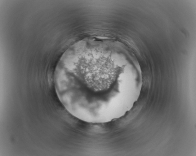 X0000113570285200910161525