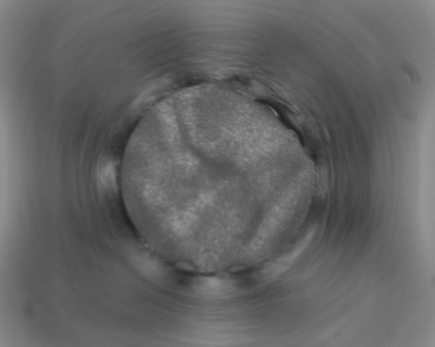 X0000113570286200910161525