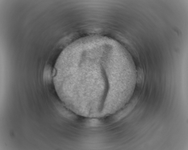 X0000113570287200910161525