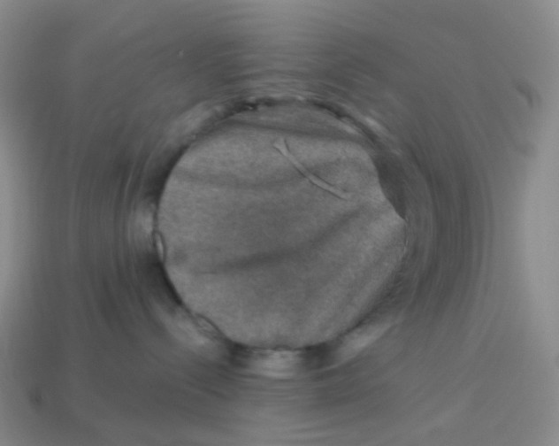 X0000113570288200910161525