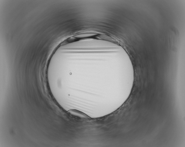 X0000113570289200910161524