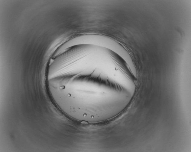 X0000113570293200910161524