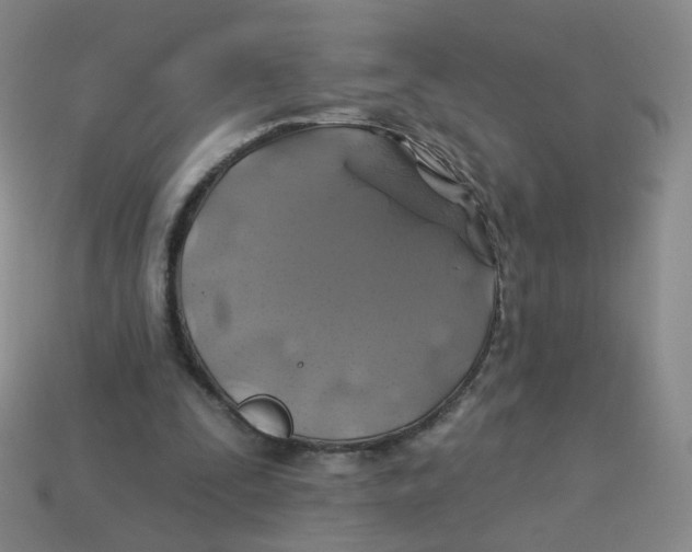 X0000113570295200910161524