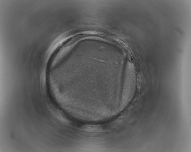 X0000113570296200910161524