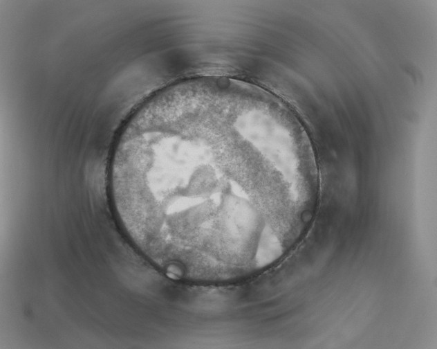 X0000113570297200910161524