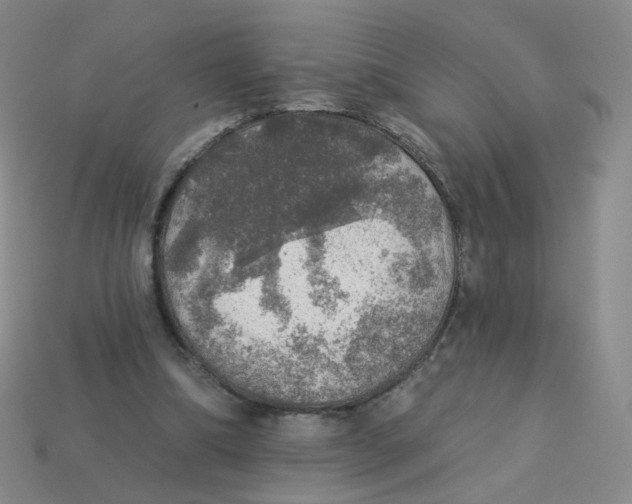 X0000113570298200910161524