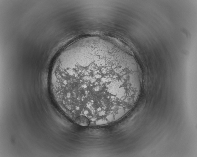 X0000113570299200910161524