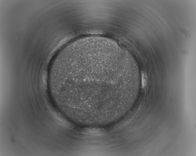 X0000113570300200910161524