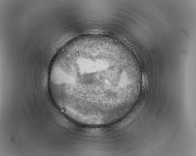 X0000113570301200910161524