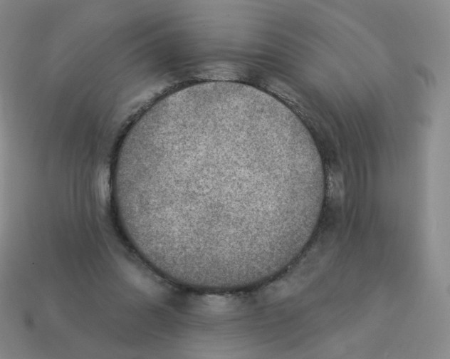 X0000113570302200910161524