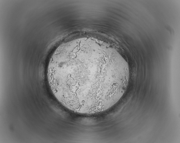 X0000113570303200910161524