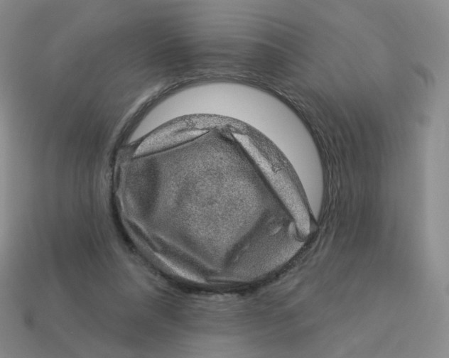 X0000113570304200910161524