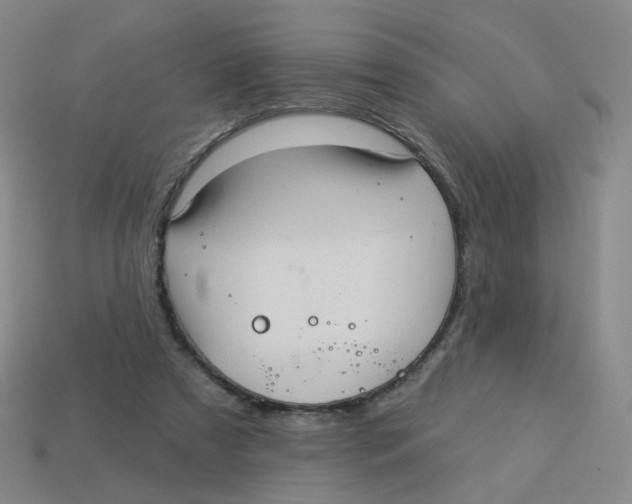 X0000113570305200910161524