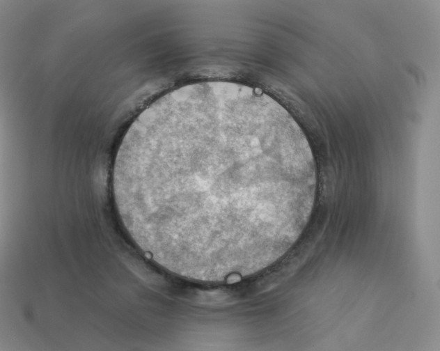 X0000113570309200910161524