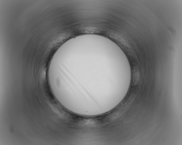 X0000113570310200910161524