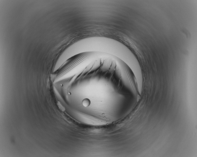 X0000113570313200910161524