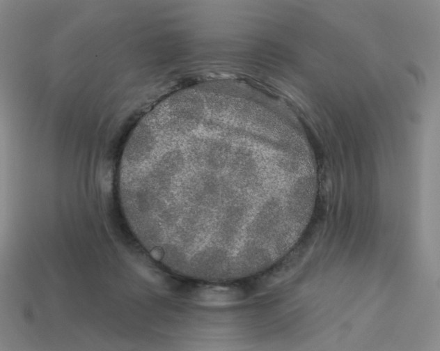 X0000113570315200910161524