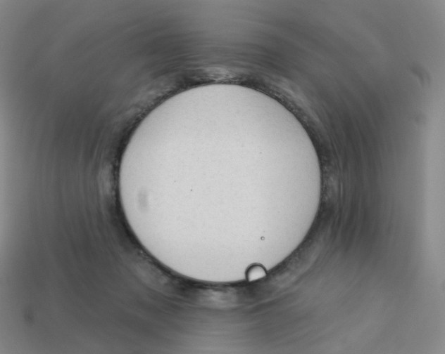 X0000113570317200910161524