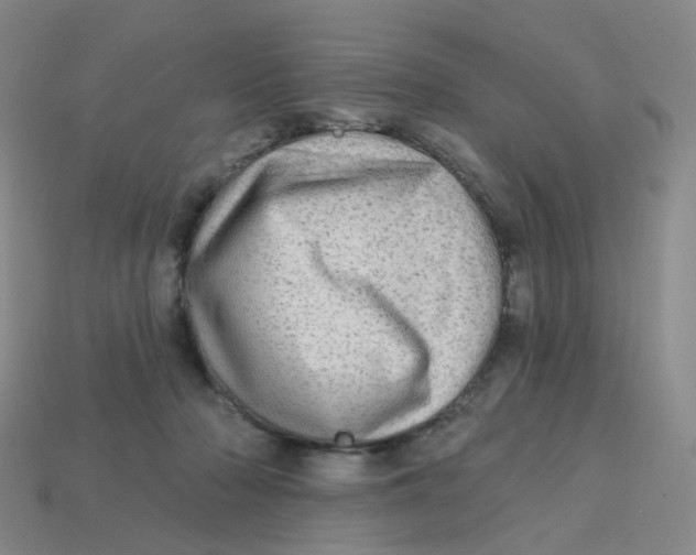 X0000113570318200910161523