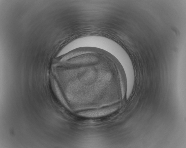 X0000113570320200910161523