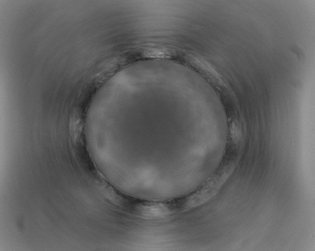 X0000113570322200910161523