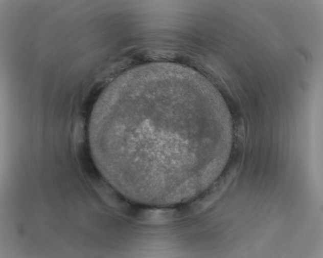 X0000113570323200910161523