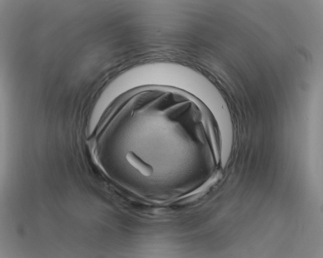 X0000113570324200910161523