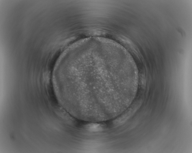 X0000113570326200910161523