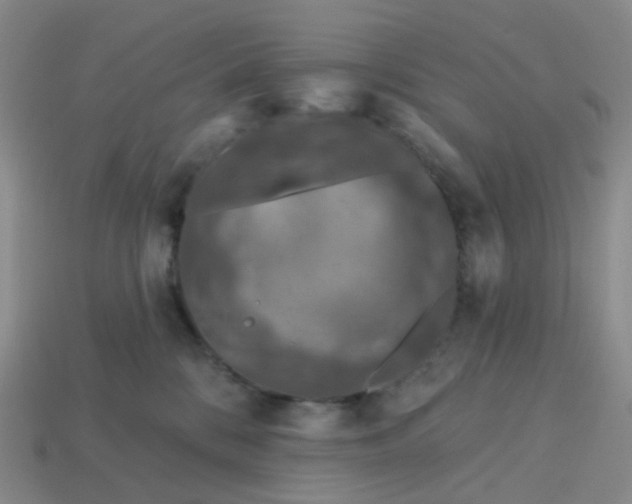 X0000113570328200910161523