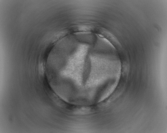 X0000113570329200910161523