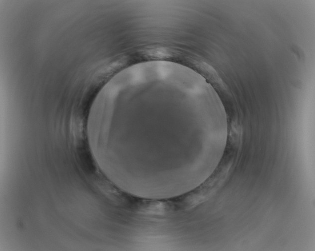 X0000113570330200910161523