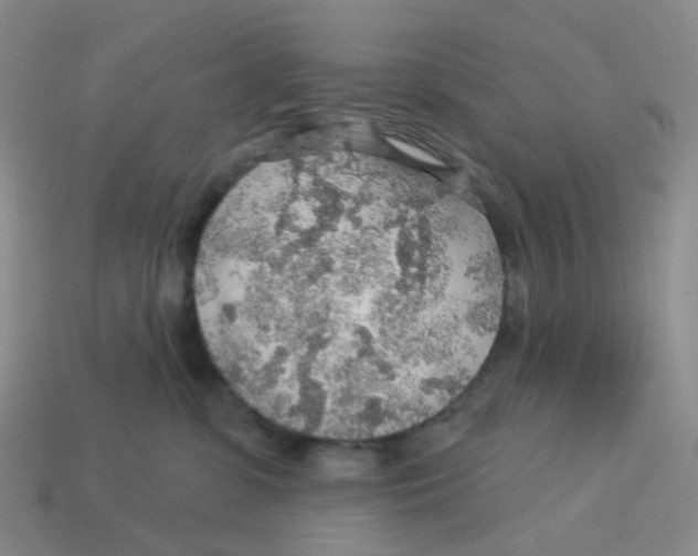 X0000113570331200910161523