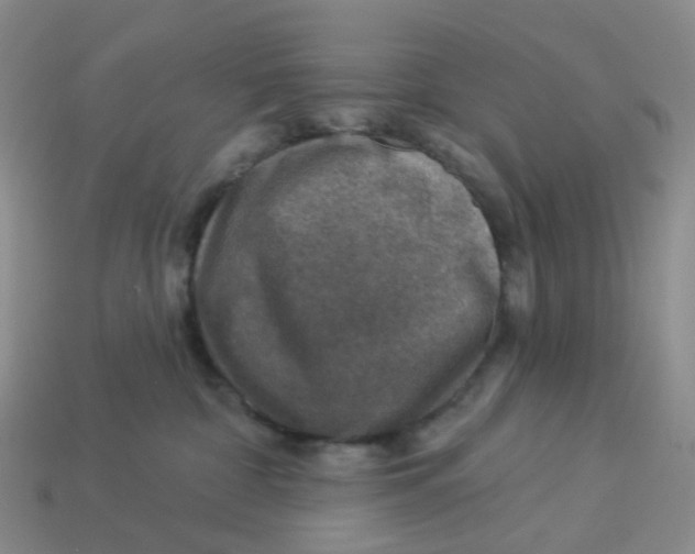 X0000113570332200910161523