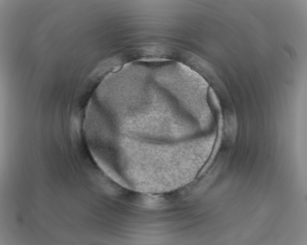 X0000113570333200910161523