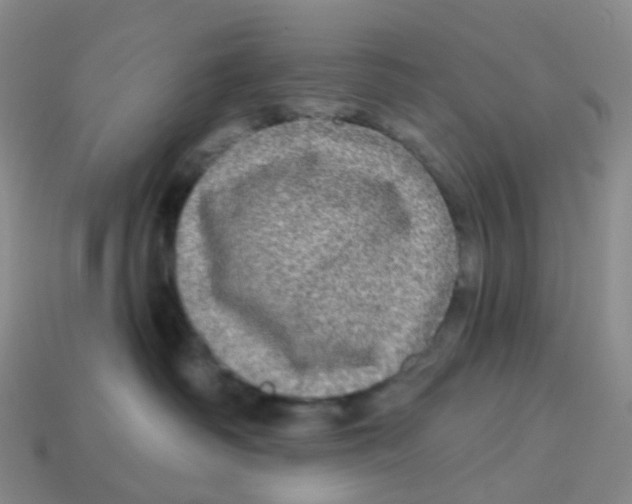 X0000113570334200910161523