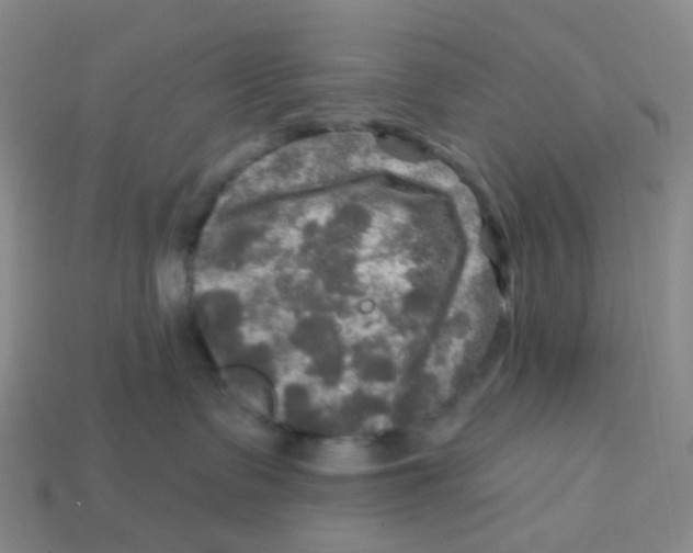 X0000113570335200910161523