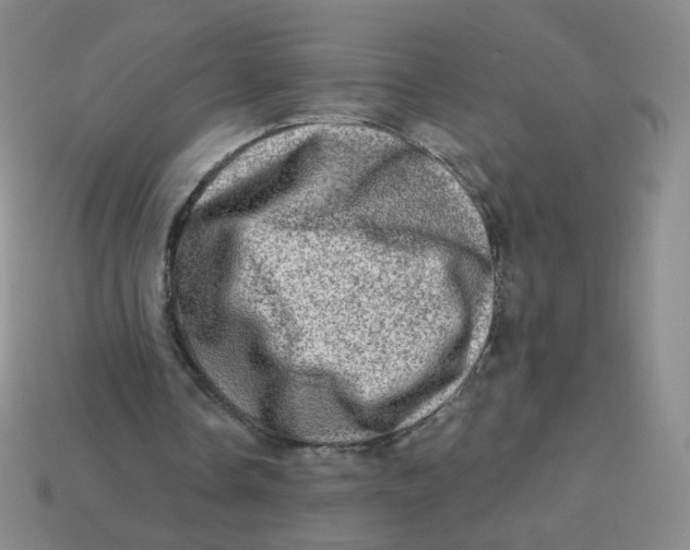 X0000113570338200910161522