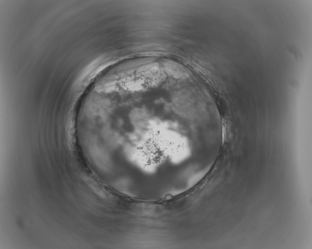 X0000113570339200910161522