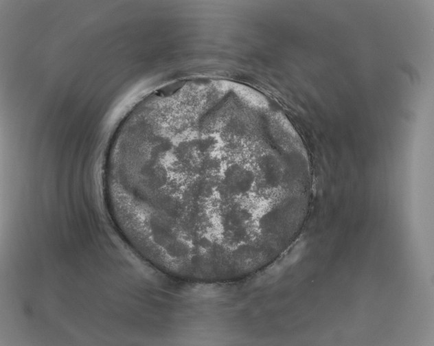 X0000113570341200910161523