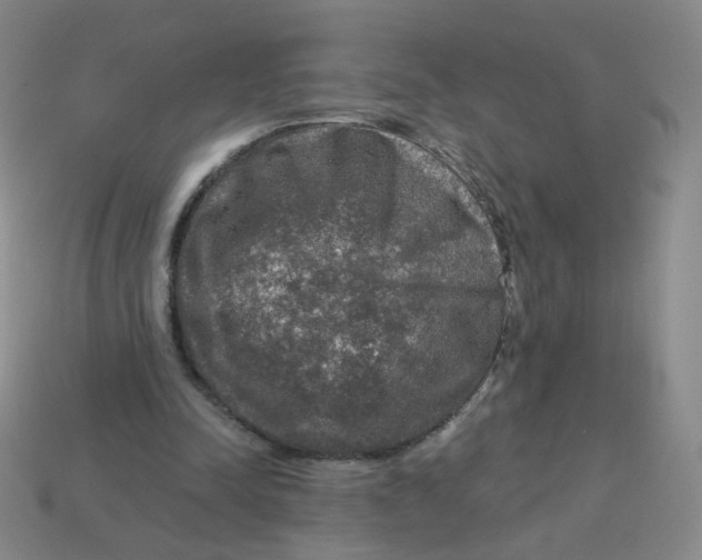 X0000113570342200910161523