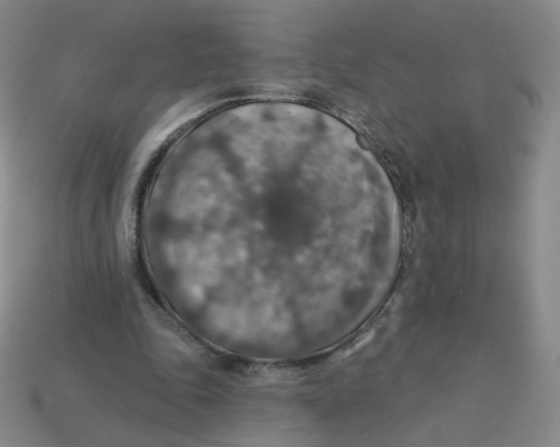 X0000113570343200910161523