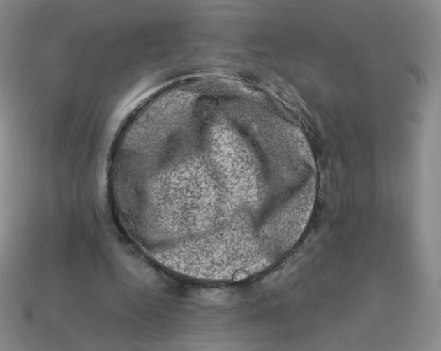 X0000113570344200910161523