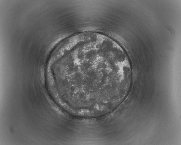 X0000113570345200910161523