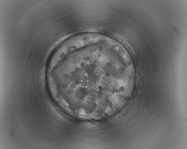 X0000113570346200910161523