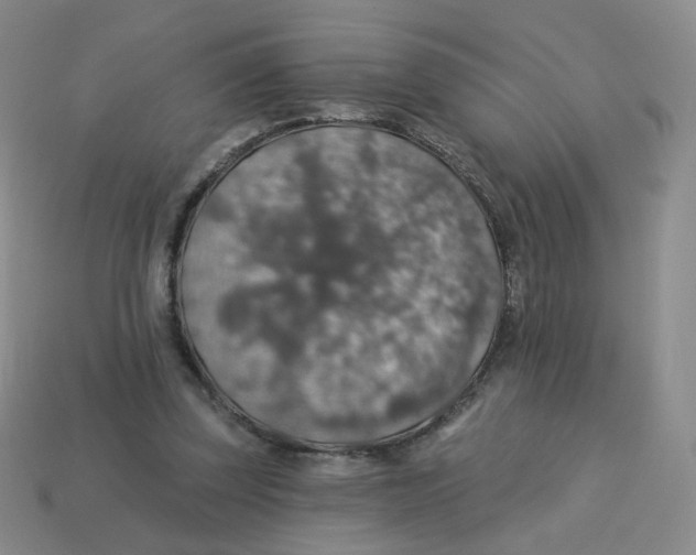 X0000113570347200910161523