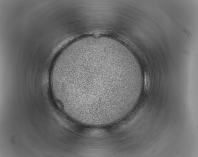 X0000113570348200910161523