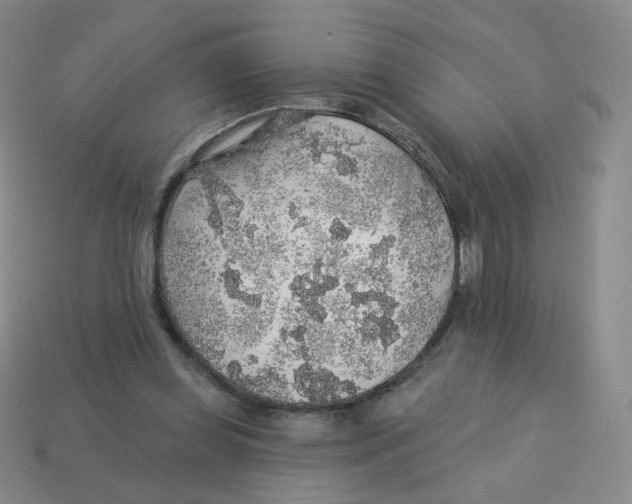 X0000113570349200910161523